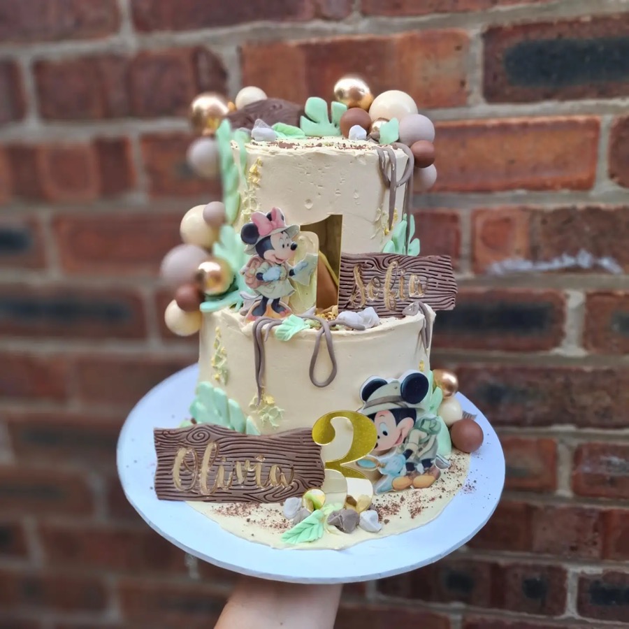Themed birthday cake for two birthday girls